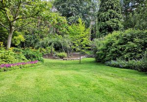 Optimiser l'expérience du jardin à Heiltz-le-Hutier