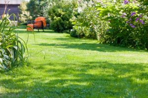 travaux jardin et paysage Heiltz-le-Hutier